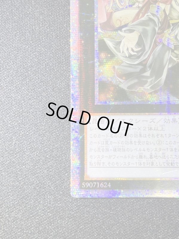 画像4: アロメルスの蟲惑魔　20thシークレットレア（アジア版）ランクB- (4)