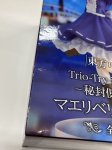 画像4: （キズ有）東方Project　Trio－Try－iT Figureー秘封倶楽部・マエリベリー・ハーンー (4)