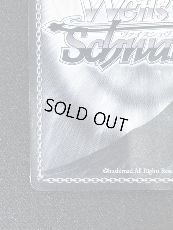 画像9: 知識豊富なエリー　SP (9)