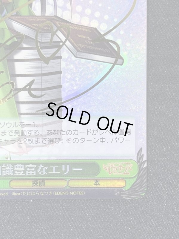 画像5: 知識豊富なエリー　SP (5)
