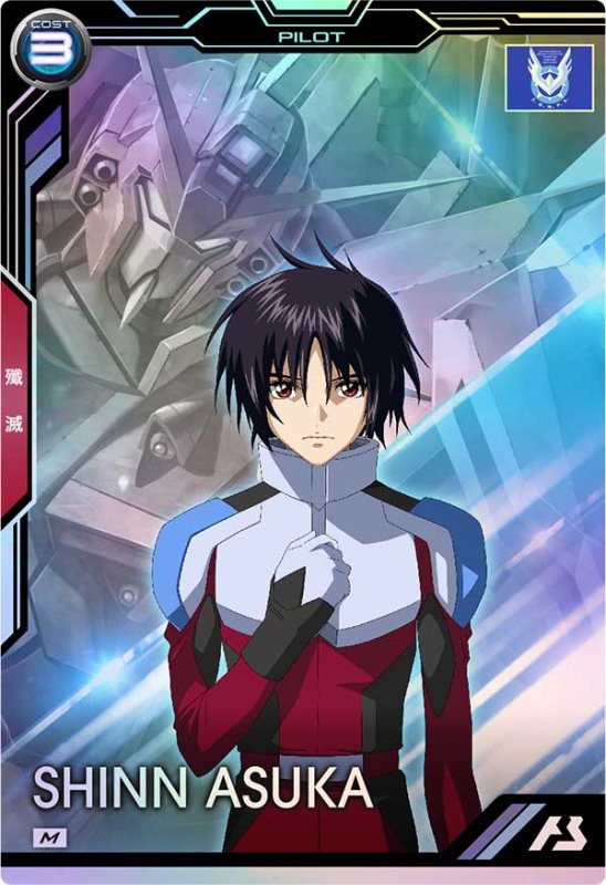 画像1: シン・アスカ　M (1)