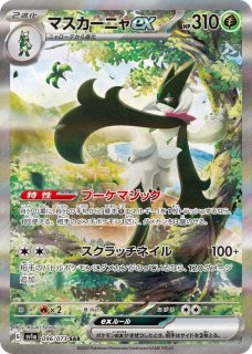 ポケモン（SAR, SR, HR, スペシャルアート, プロモ） - 遊楽舎