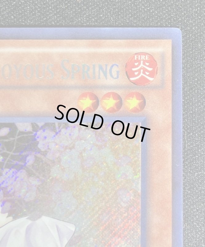 画像3: 灰流うらら　シークレットレア（英語版）No.3 (3)