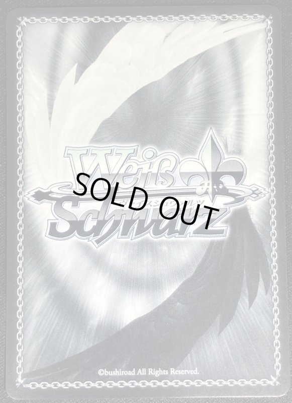 画像6: 鏡蓮華のブレスレット フェルン　SP (6)