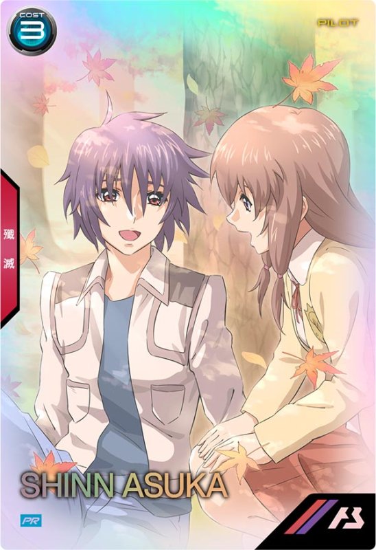 画像1: シン・アスカ　PR (1)