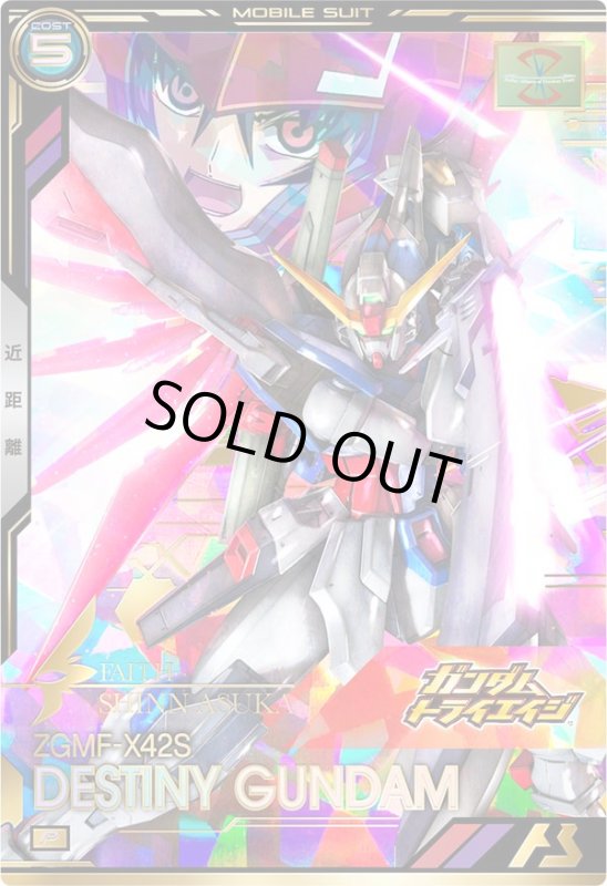 画像1: デスティニーガンダム　P (1)