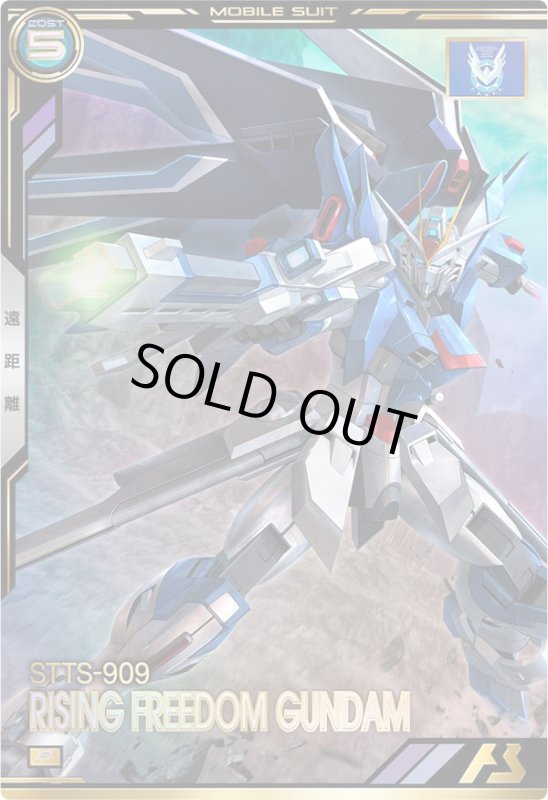 画像1: ライジングフリーダムガンダム　P (1)