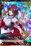 画像1: ルナマリア・ホーク　P (1)