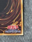 画像9: アロメロスの蟲惑魔　20thシークレットレア (9)