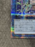 画像5: Evil★Twin リィラ  25thシークレットレア (5)