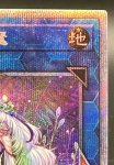 画像3: クラリアの蟲惑魔　プリズマティックシークレットレア (3)