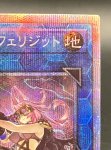 画像3: 鉄獣戦線徒花のフェリジット　プリズマティックシークレットレア (3)