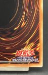 画像10: ファイアウォールドラゴンダークフルード　20thシークレットレア (10)