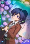 画像1: アヤメ　PR (1)