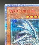 画像2: 青眼の亜白龍  20thシークレットレア (2)