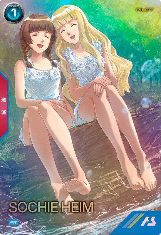 画像1: ソシエ・ハイム　PR (1)