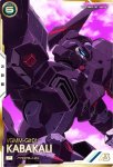 画像1: カバカーリー（パラレル）　P (1)
