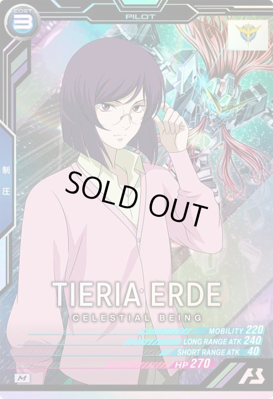 画像1: ティエリア・アーデ　M (1)