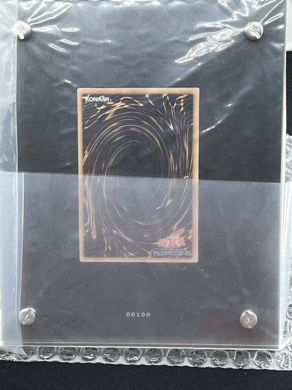 ブラック・マジシャン・ガール スペシャルカード（ステンレス製） 100